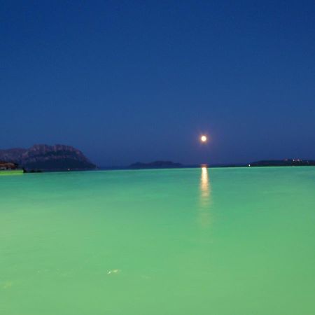 Villa And Pool Tavolara View Porto Istana Buitenkant foto