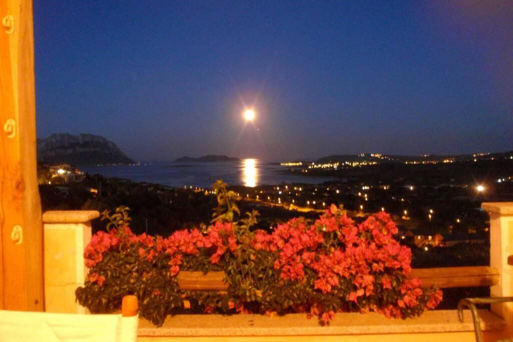 Villa And Pool Tavolara View Porto Istana Buitenkant foto