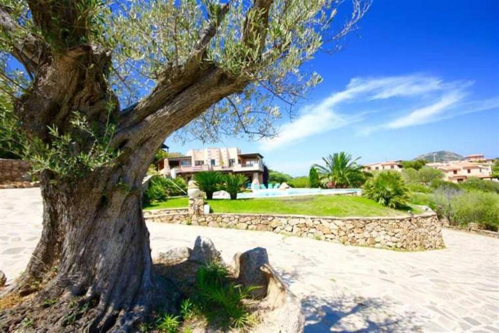 Villa And Pool Tavolara View Porto Istana Buitenkant foto