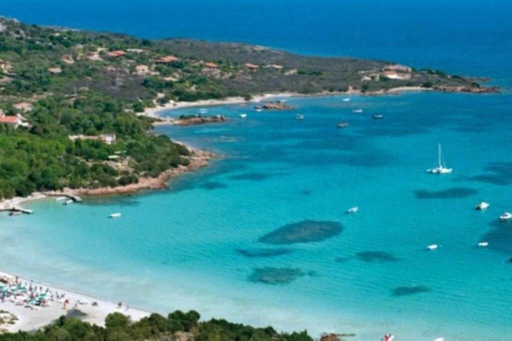 Villa And Pool Tavolara View Porto Istana Buitenkant foto